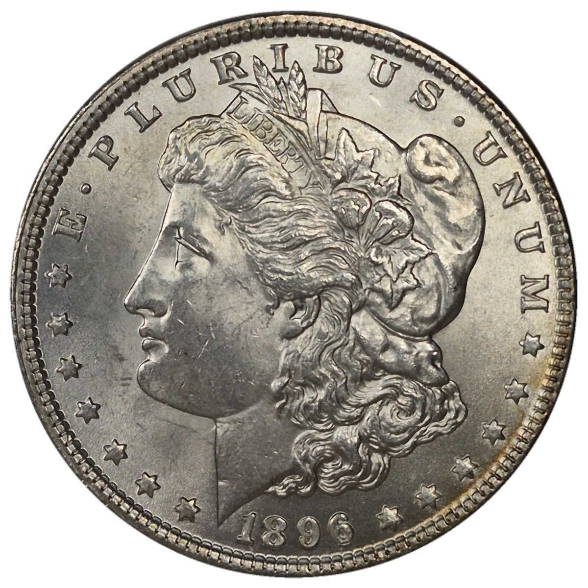 1896-$1-Morgan-Dollar-#14